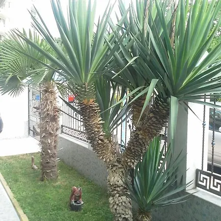 Dani Kiten (Burgas)